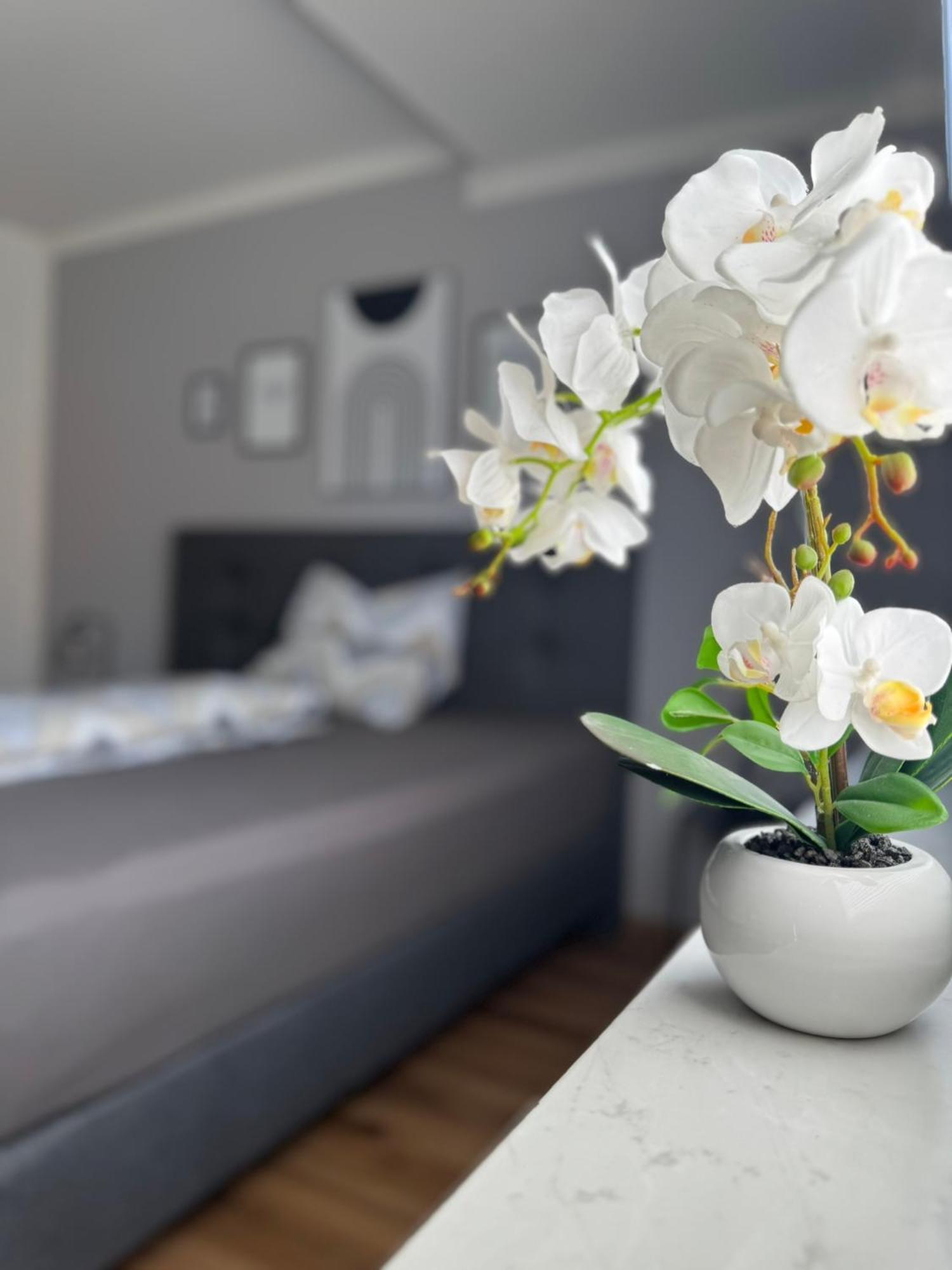 Ferienhaus Hunsrueckliebe Liederbach  Esterno foto